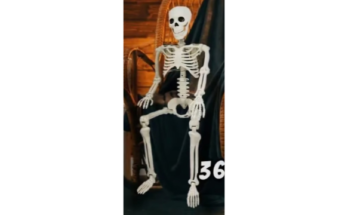 36 Skeleton Halloween Decorations, 3FT Realistic Full Body Movable Posable Joints Skeleton